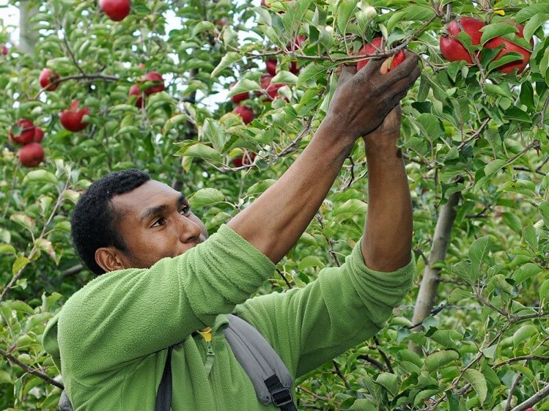 image-picker-1000x1000